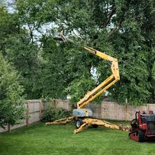 Best Sod Installation  in South Zanesville, OH